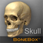 骨架盒:頭骨查看助手Mac版 V2.0.0 官方版 