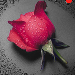 Colorful for Mac v1.1.0 mac版 