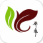 喬風(fēng)茶店 v1.0.8 安卓版 