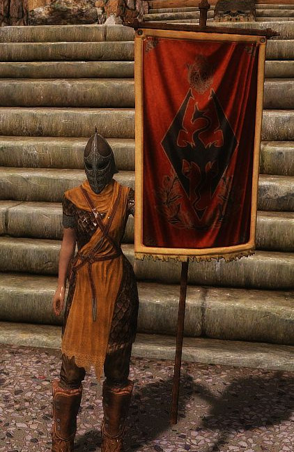 上古卷軸5物理旗子mod