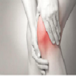 骨骼養(yǎng)護(hù)網(wǎng)下載 v5.0.0 安卓版 