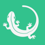 壁虎車保iOS版 V2.2.1 官方版 