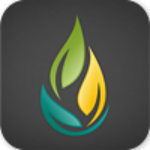 中國精油 v2.0 安卓版 