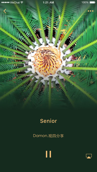 手機微信iPhone版 v6.6.7 官方正式版圖5