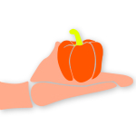 掌上農(nóng)產(chǎn)品 v2.0.0 安卓版 