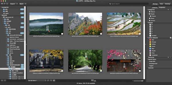 ACDSee Pro for mac V4.0b 破解版圖1