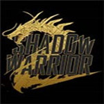 影子武士2滿級(jí)強(qiáng)力武器存檔 綠色版 