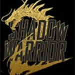 影子武士2下載 漢化版 