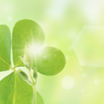 奈末PPT批量轉(zhuǎn)圖片助手 v9.2 官方版 