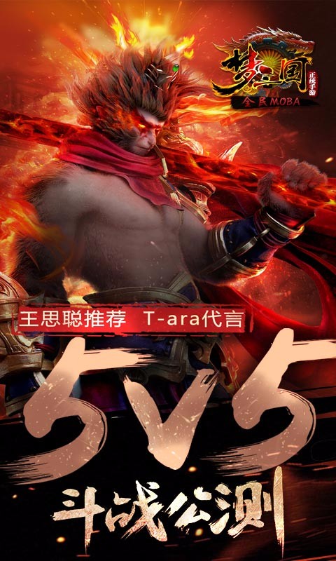 航海王強者之路