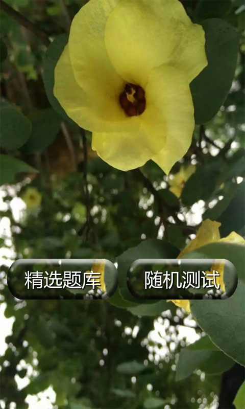 內(nèi)科護(hù)理學(xué)試題及答案