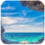 駕駛證分查詢 v2.0 安卓版 