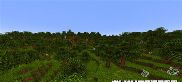 我的世界啄木鳥(niǎo)材質(zhì)包