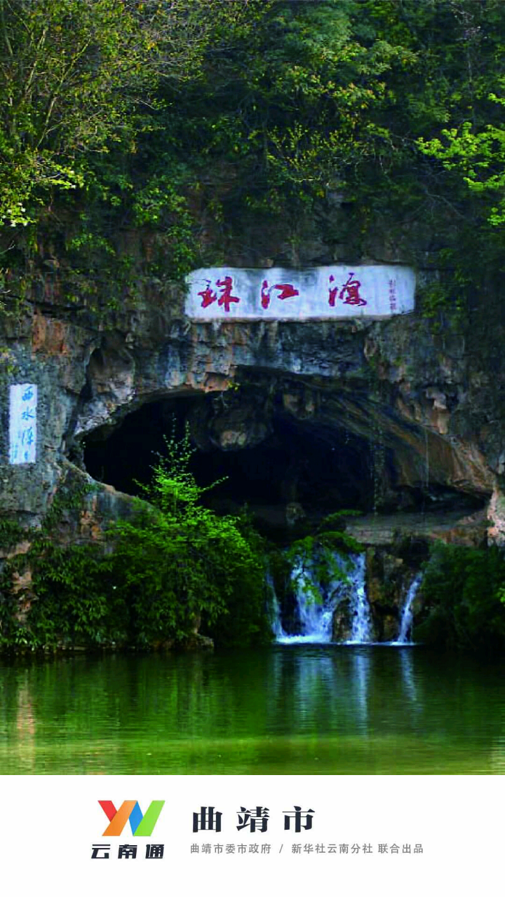 云南通曲靖市app