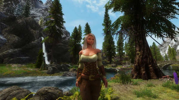 上古卷軸5法師隨從mod