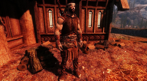 上古卷軸5戰(zhàn)斗和受傷MOD