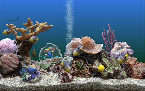 海底世界動態(tài)屏保