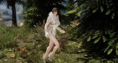 上古卷軸5新腳模