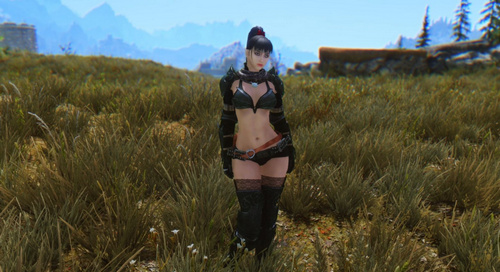 上古卷軸5動(dòng)畫(huà)mod