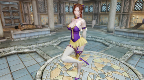 上古卷軸5神圣束身胸衣MOD