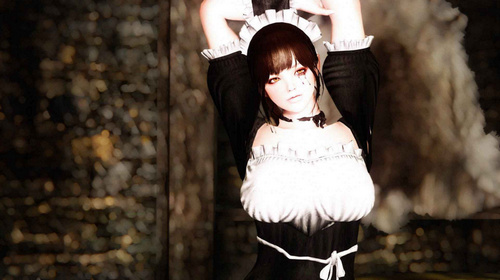 上古卷軸5隨從MOD