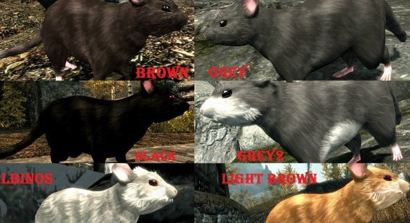 上古卷軸5萌萌的惡鼠MOD下載