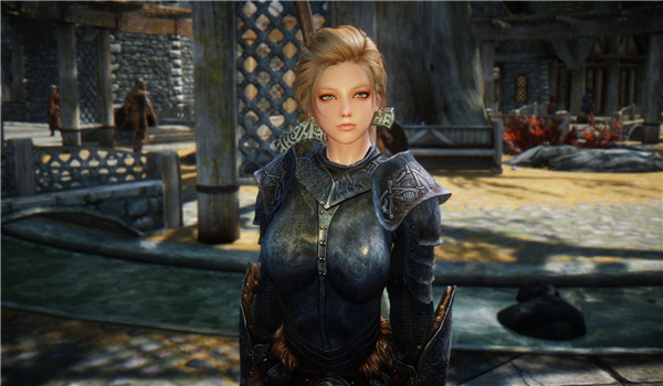 上古卷軸5布瑞達(dá)MOD