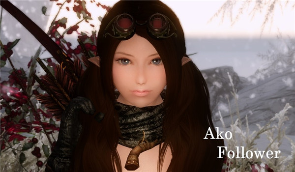 上古卷軸5艾可兒MOD