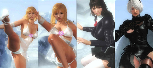 死或生5MIYA人物集合MOD