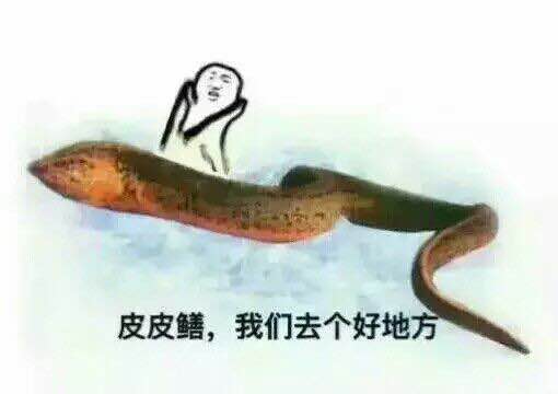 黃鱔表情包