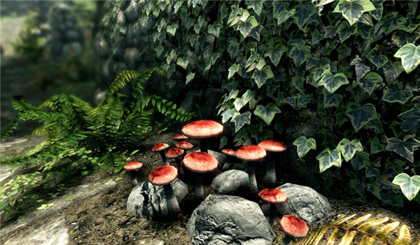 上古卷軸5重制版夜晚MOD