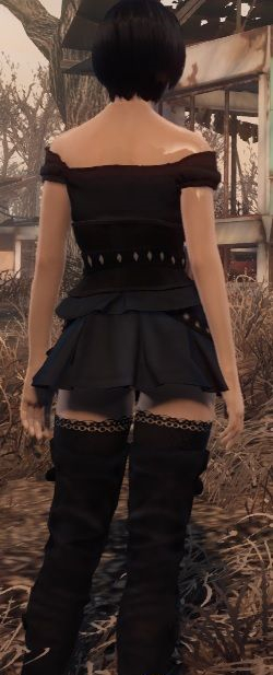 輻射4葉妮芙的裙子mod下載 v1.0 免費(fèi)版圖1