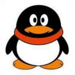 無密批量查詢QQ空間人氣 v1.0.0 免費版 