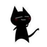 黑貓小型進(jìn)銷存 v5.3.1 綠色版 