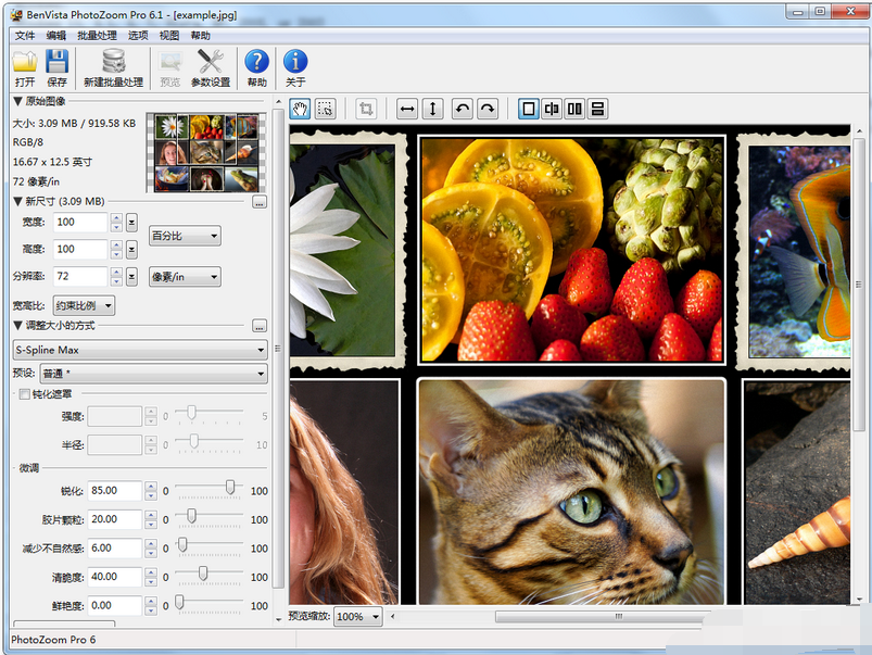 BenVista PhotoZoom Pro