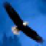 金鷹期貨自動交易軟件 V3.1.0.100 免費(fèi)版 