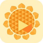 向日葵遠(yuǎn)程控制軟件 v9.1.0.53088 破解版 