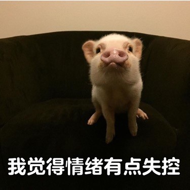 我覺得不行表情包