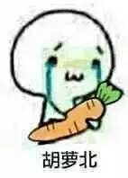 腦子進(jìn)蘿北表情包