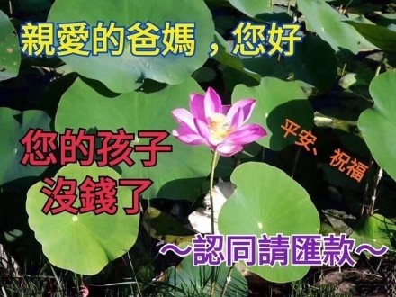 中老年表情包第二彈 無水印版圖3