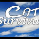 貓與九條命游戲下載 中文硬盤版 