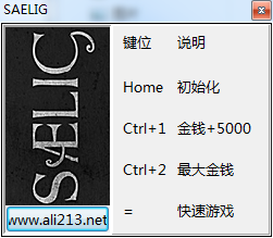 SAELIG三項(xiàng)修改器