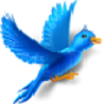 淘寶秒拍軟件 v1.1.0.3 免費版 