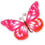 月下蝶舞寫作 v1.3 免費(fèi)版 