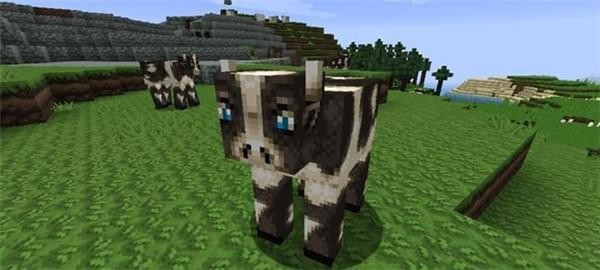 我的世界不死傳說(shuō)材質(zhì)包