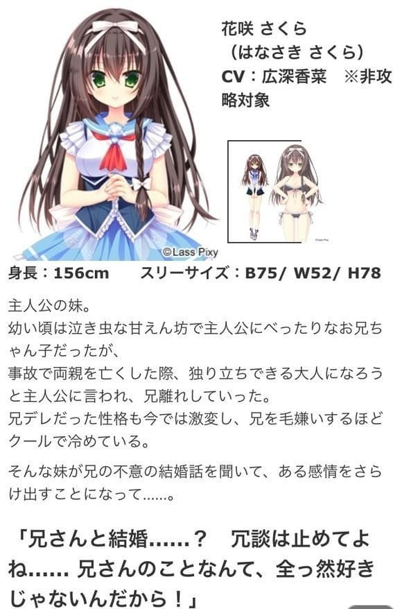 Pure Marriage純潔的婚姻 漢化硬盤(pán)版