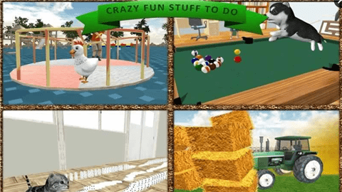 貓咪模擬器手游