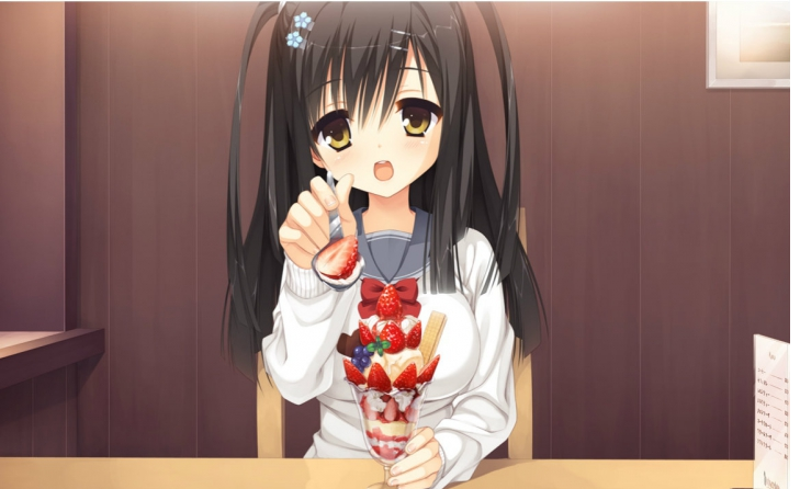 魔女的夜宴全cg存檔下載