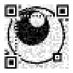 visual qr codes generator v1.2.0.0免費版 