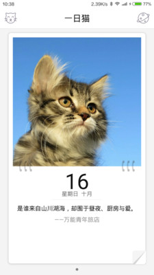 一日貓app